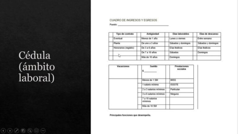 estudio-socioeconomico-ejemplo