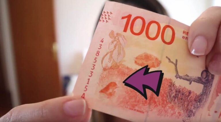 que-negocio-poner-con-100-mil-pesos