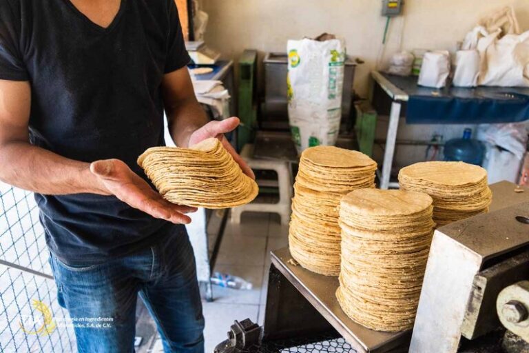 que-se-necesita-para-poner-una-tortilleria